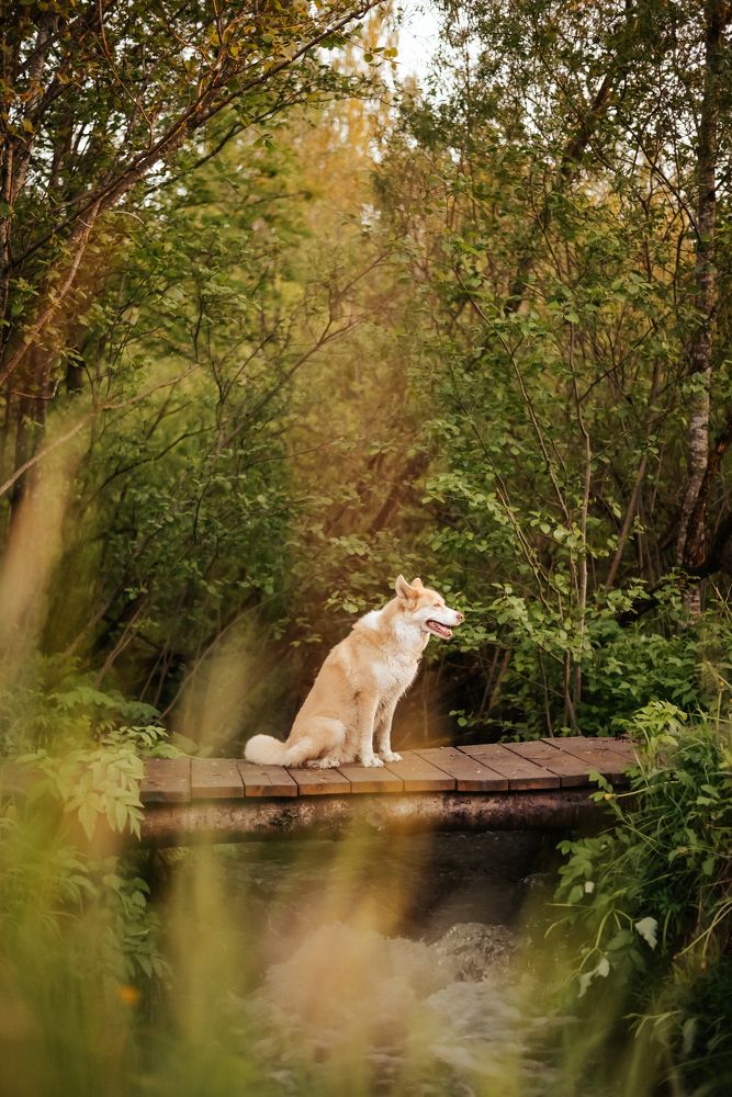 Photograph by Liguanna Anna