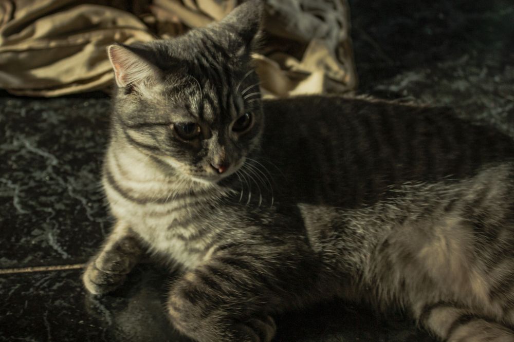 Photograph by Ковалев Николай