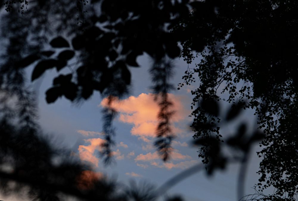 Фотография автора Екатерина Лапаева