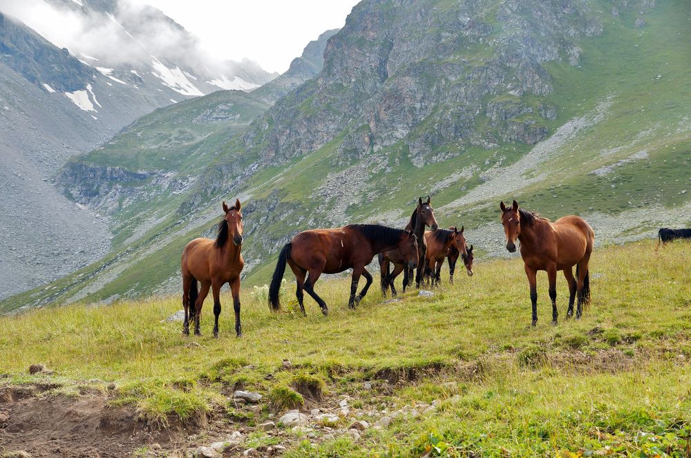 Photograph by Виктор Петров