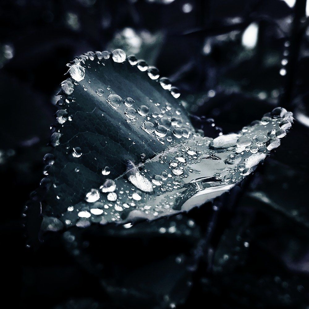 Photograph by Ievgen Strelnik