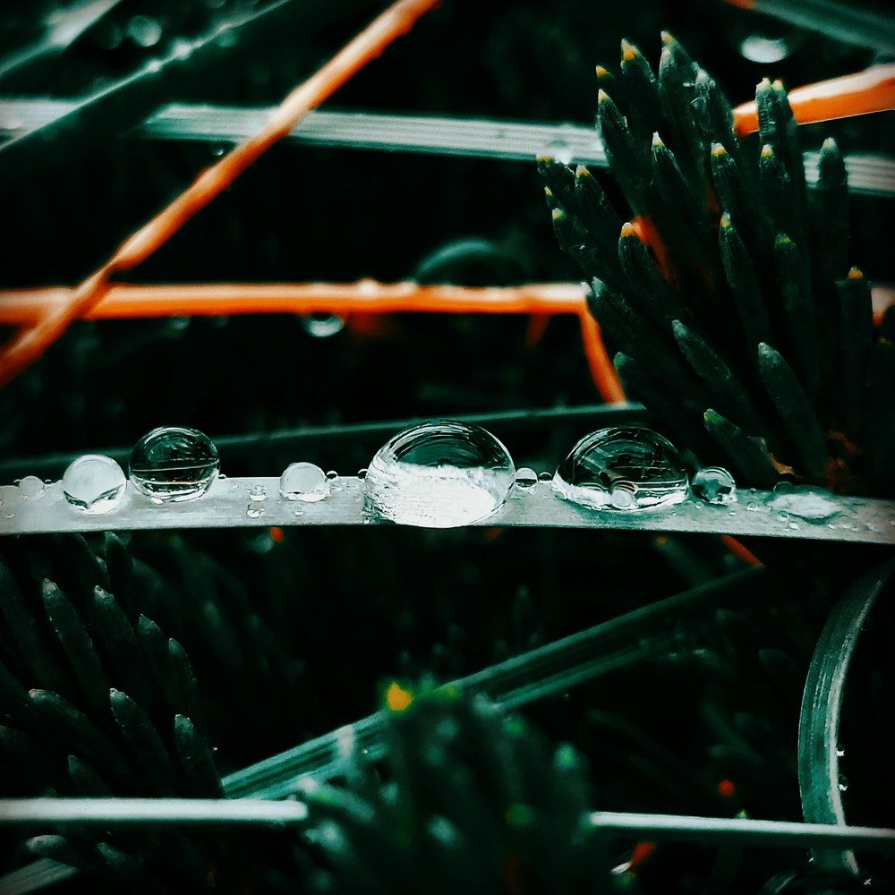 Photograph by Ievgen Strelnik