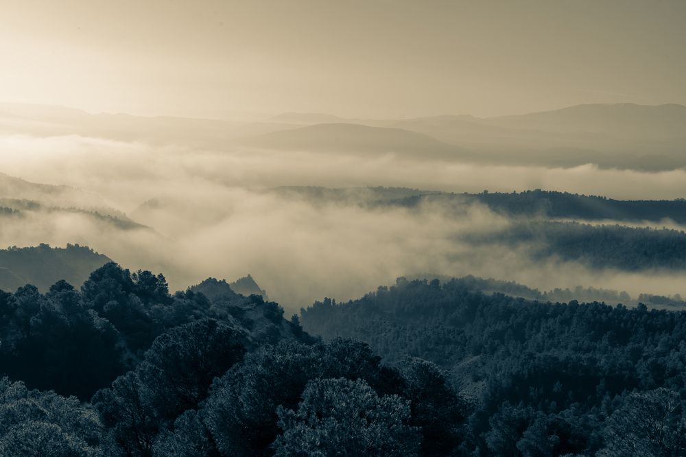 Photograph by Avi Theret