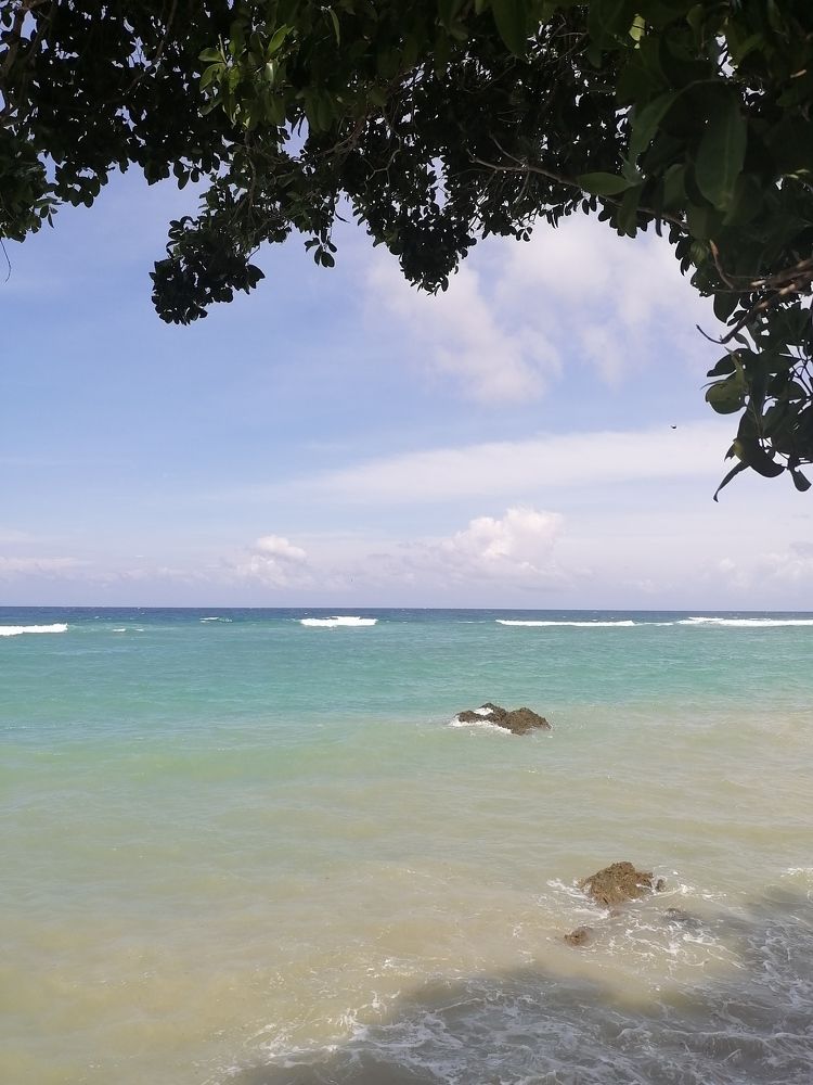 Фотография автора Pauline Jade Bolanio