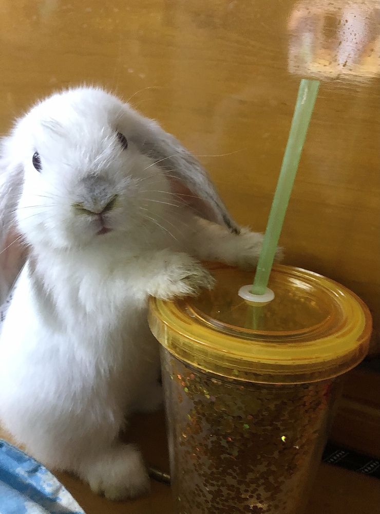 Фотография автора Pyii Zone Aung