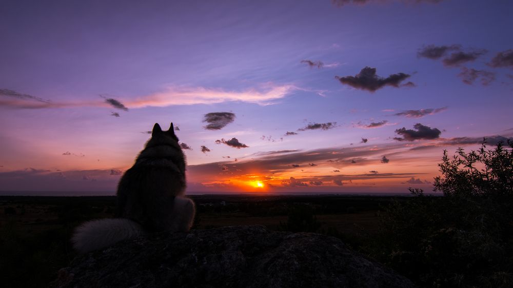 Photograph by Артем Колосов