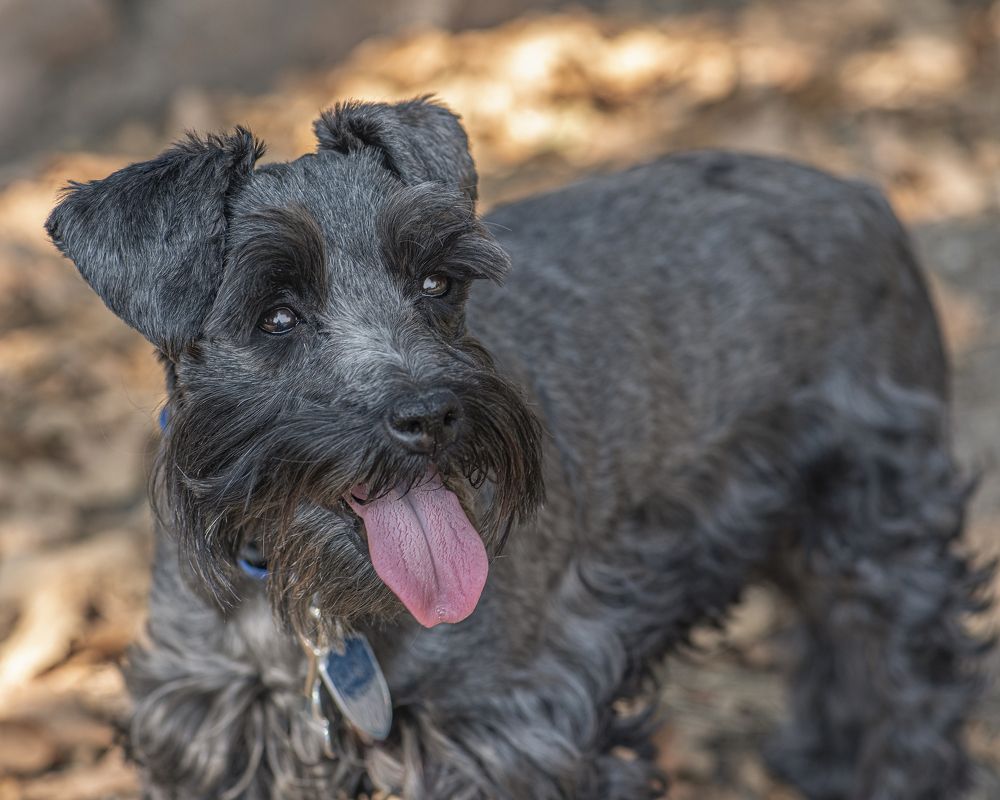 Photograph by Aлена Плясова