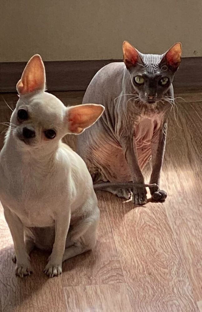 Фотография автора Алексей Новиков