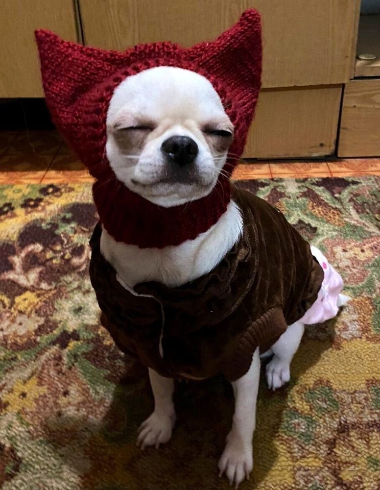 Красная шапочка