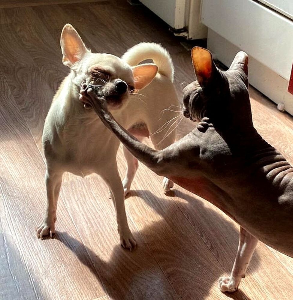 Фотография автора Алексей Новиков