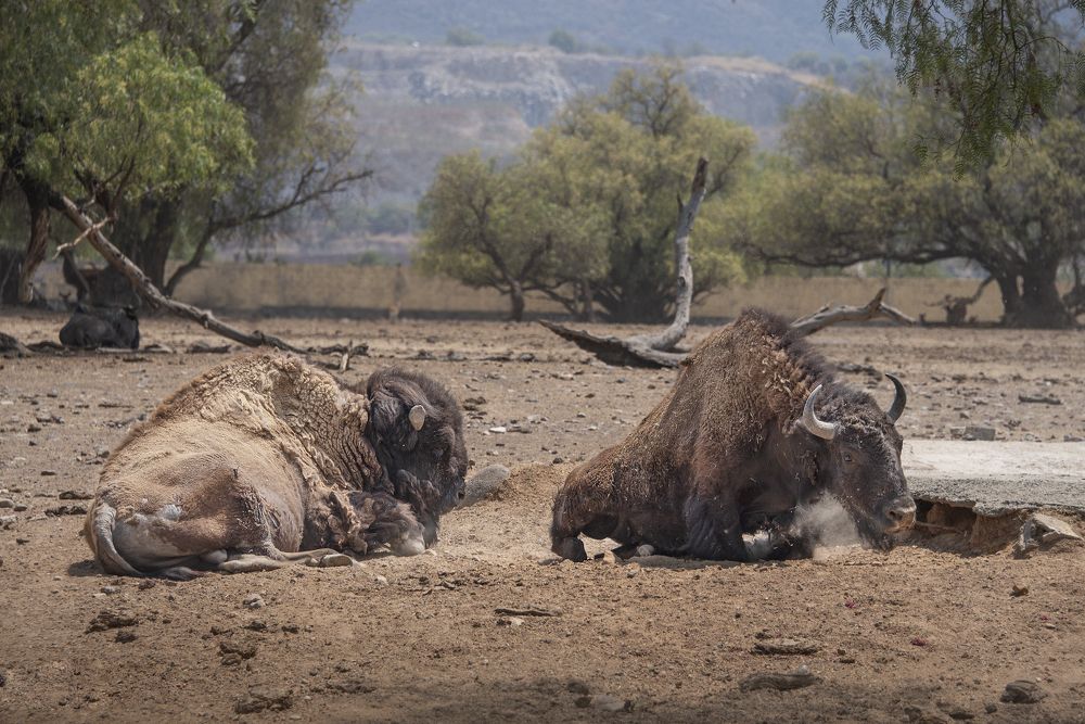 Photograph by Aлена Плясова