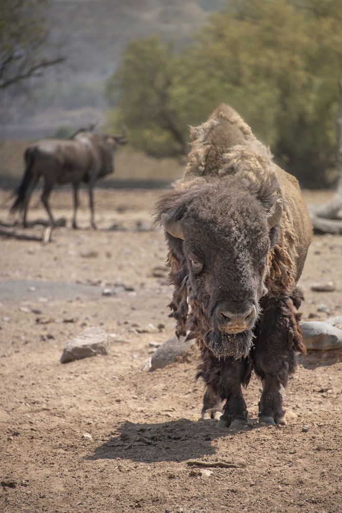 Photograph by Aлена Плясова