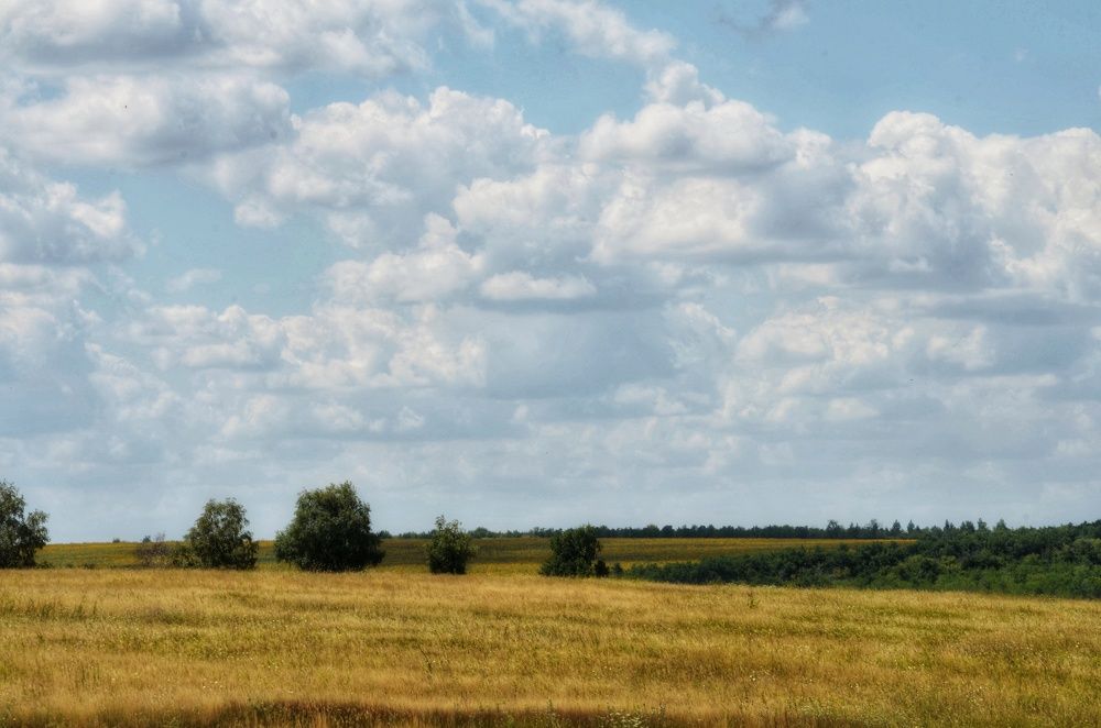 Фотография автора Наиля Зайнагетдинова