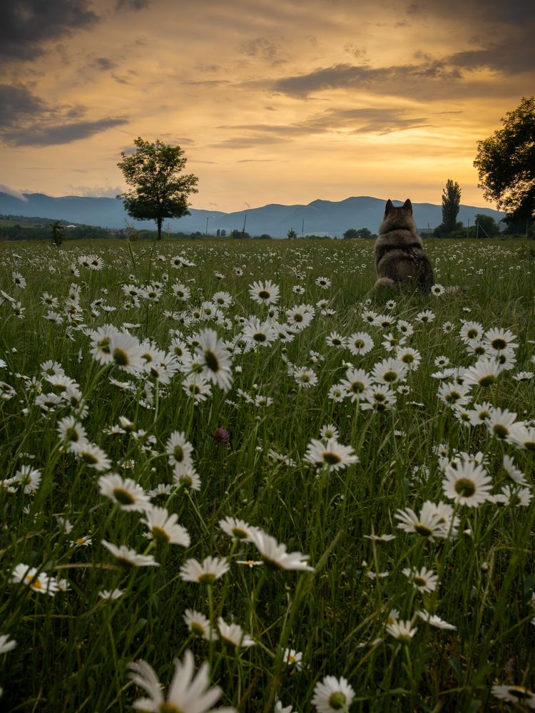 Photograph by Артем Колосов