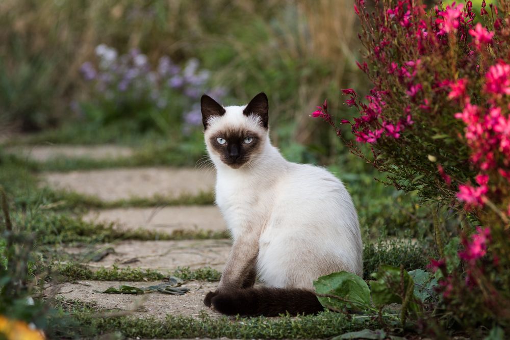 Photograph by Артем Колосов