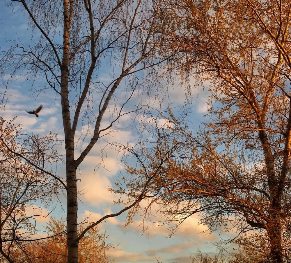 Весеннее небо