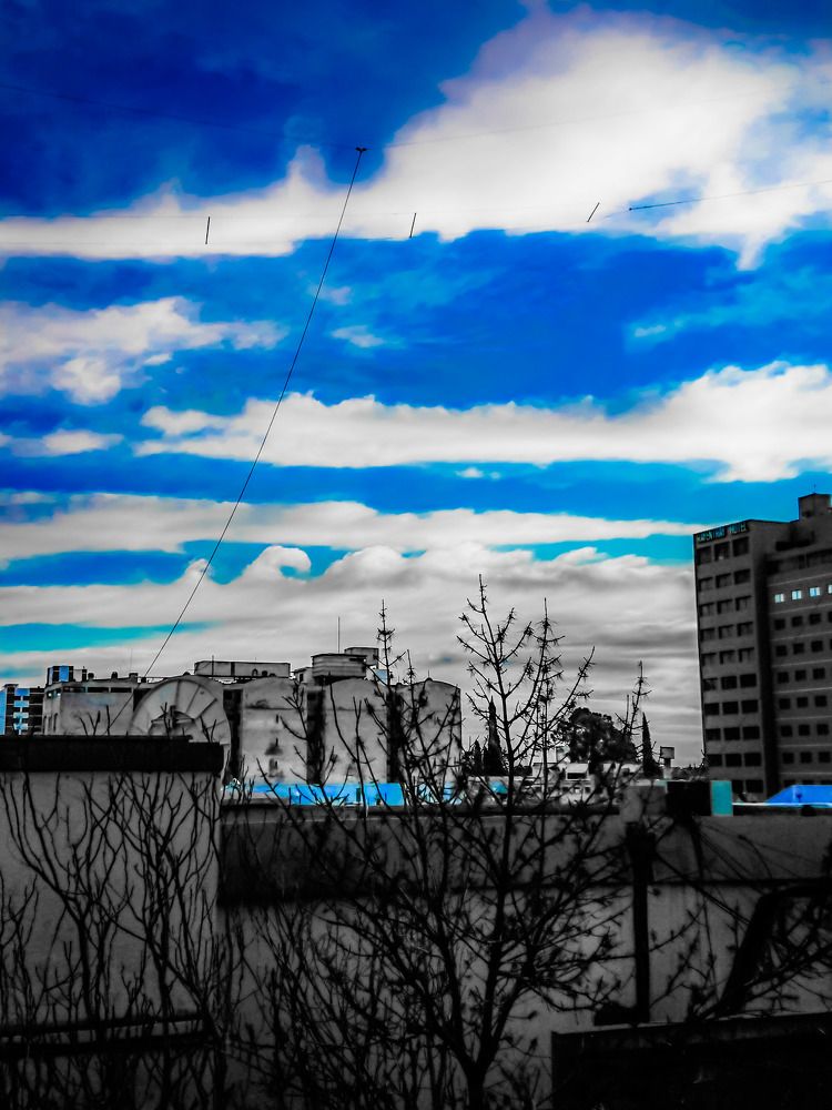 Photograph by Lucas Fantacone