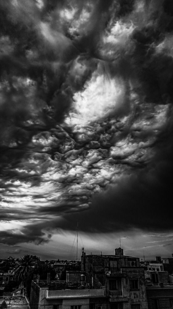 Photograph by Lucas Fantacone