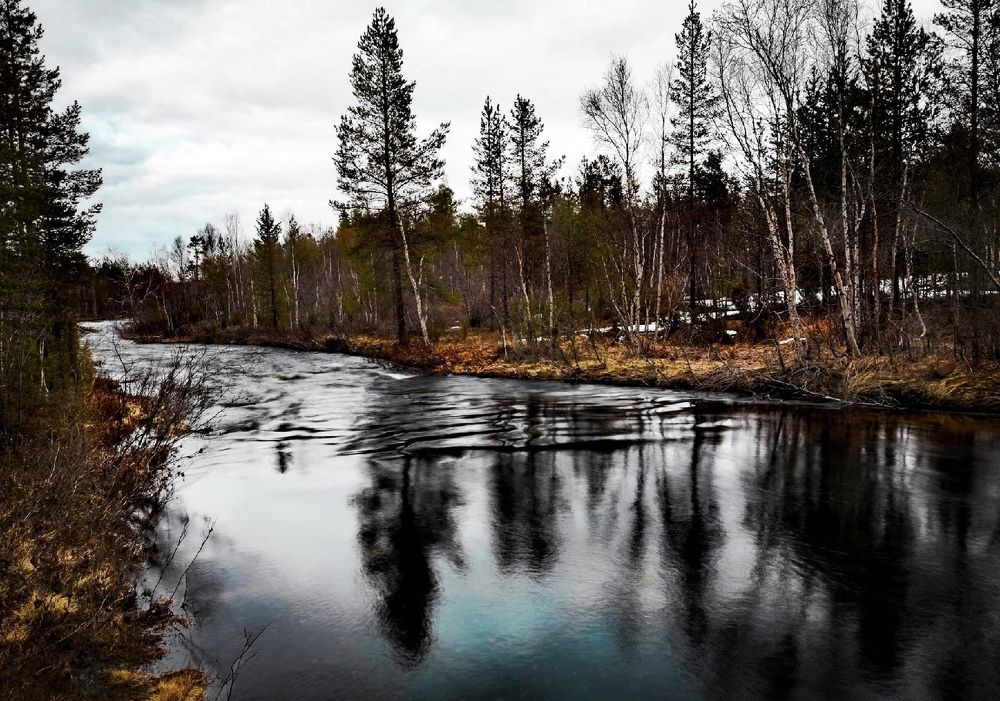 Photograph by Вероника Алиризаева