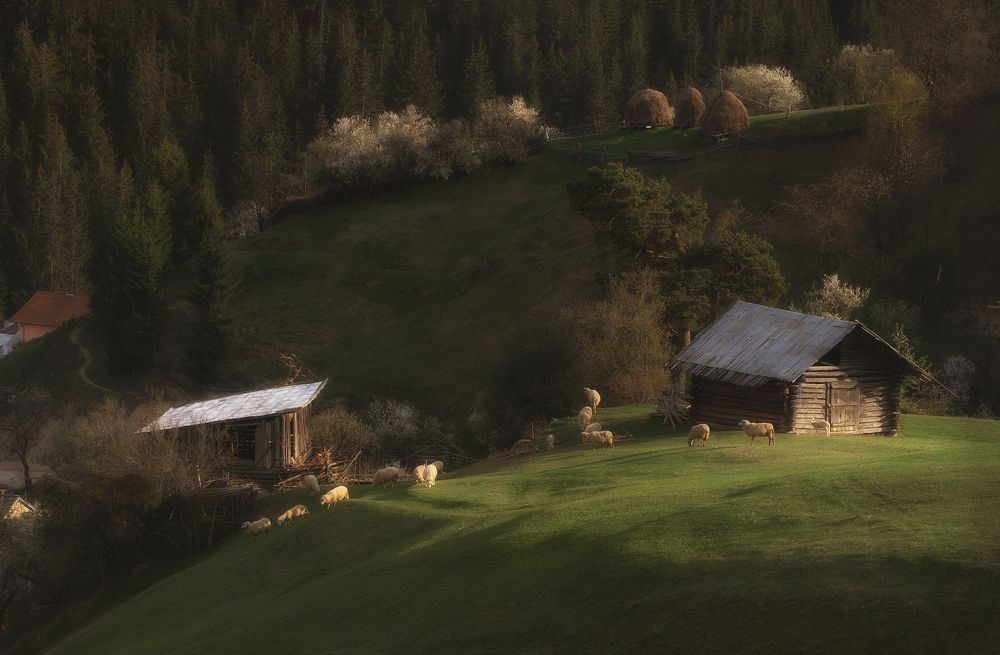 Photograph by Petya Lazarova