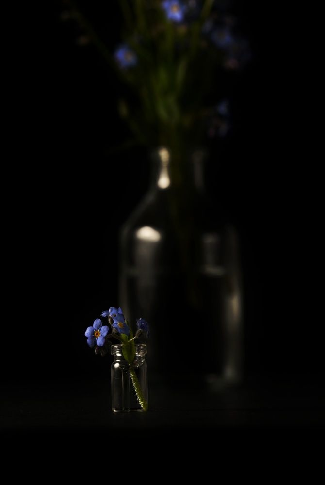 Photograph by Евгения Лушенкова