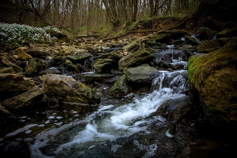 Photograph by Наталья Лукьянчук