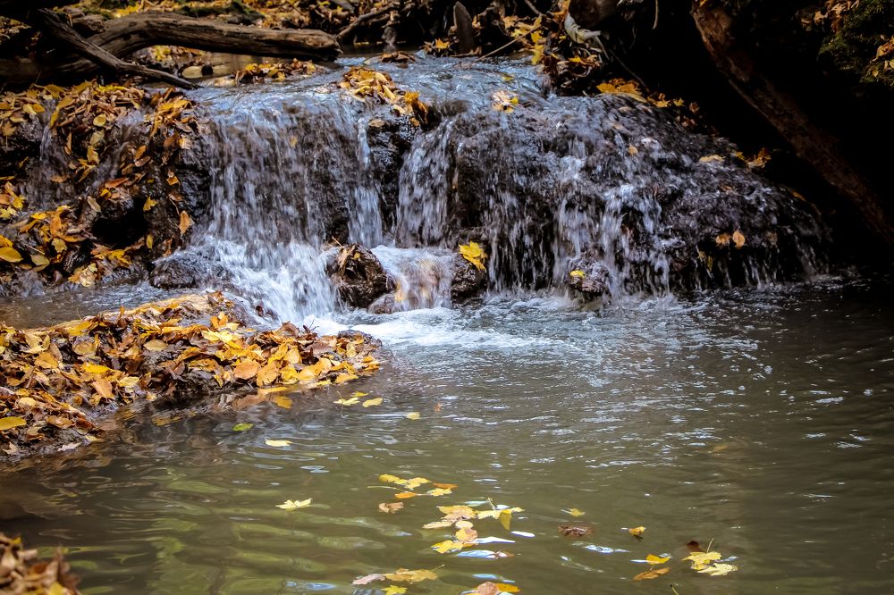 Photograph by Наталья Лукьянчук