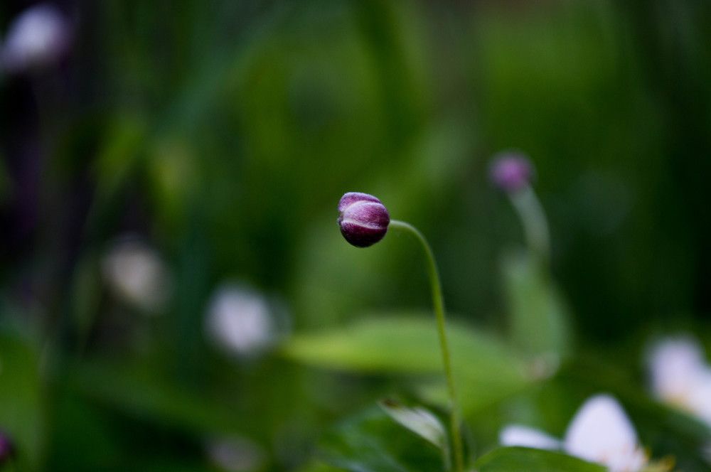 Зарождение красоты