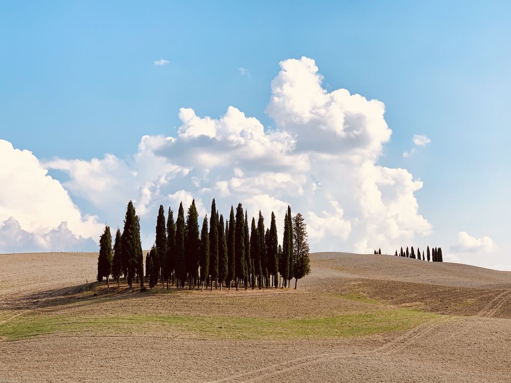 Фотография автора Нина Кулишова