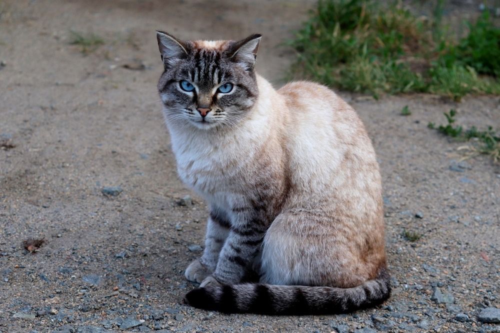 Photograph by Татьяна Котельникова