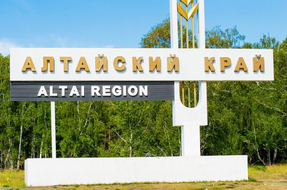 Дорожные стеллы