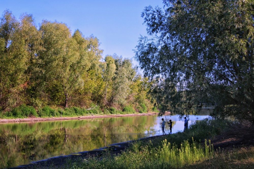 Photograph by Гульжан Шарипова