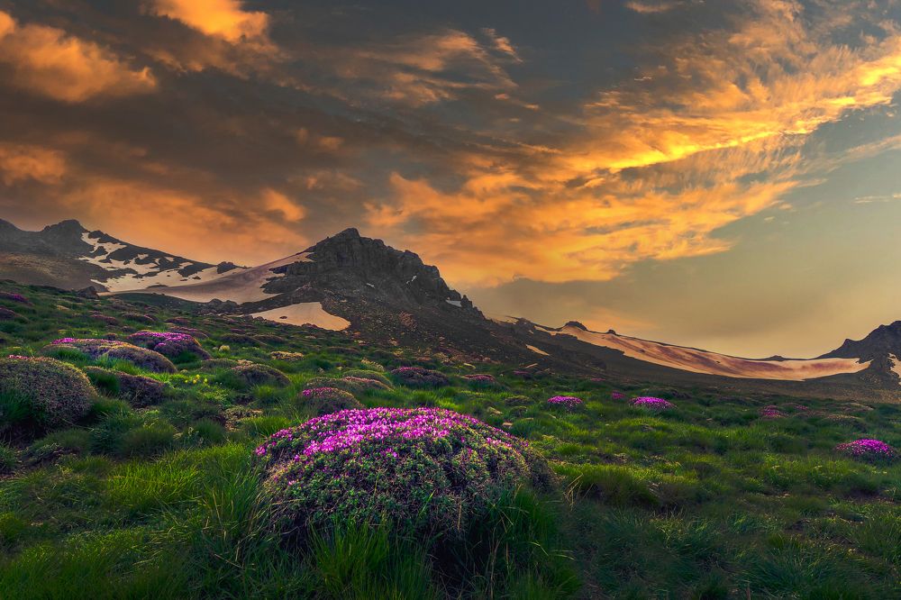 Photograph by Bayazidi Michael