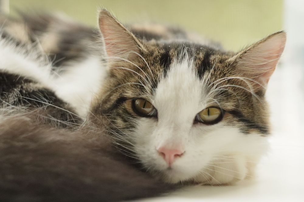 Photograph by Елена Квасова