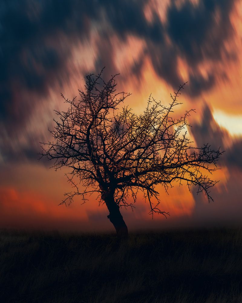 Photograph by Bayazidi Michael