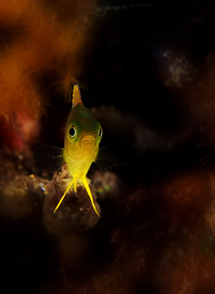 Photograph by Buyung Kunt Buyung