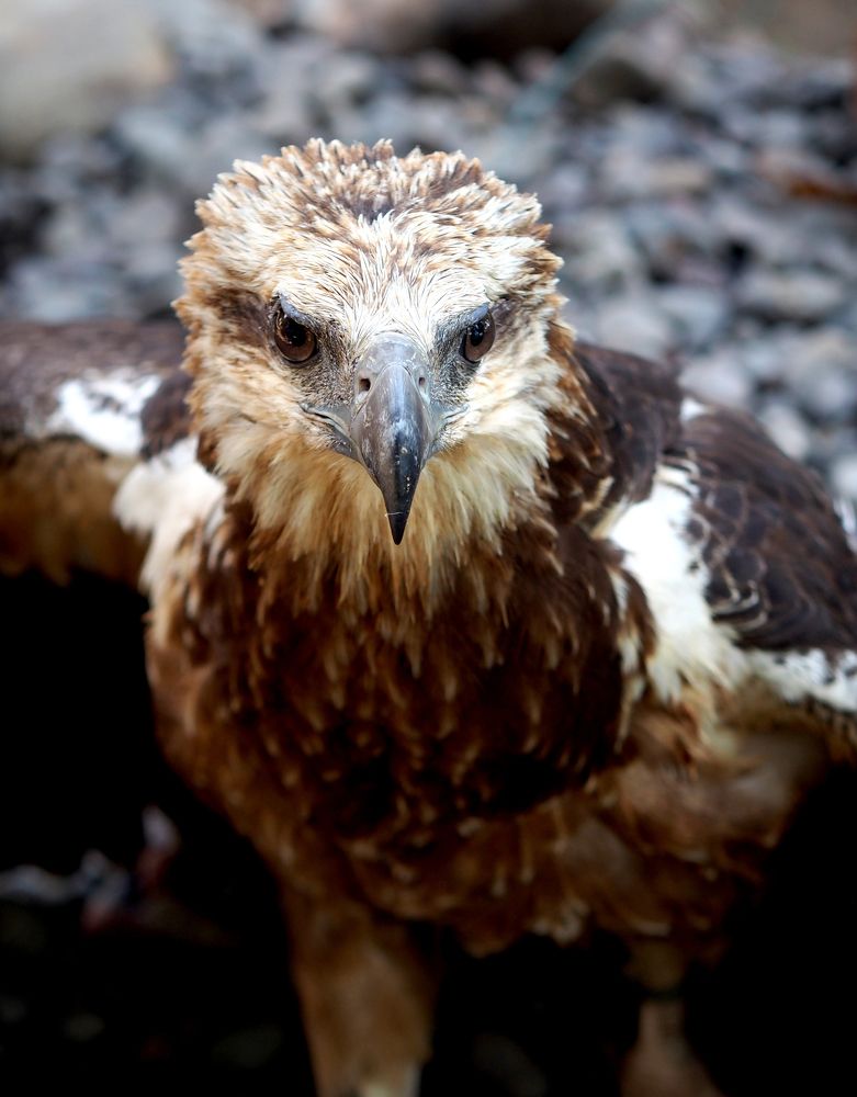 Photograph by Buyung Kunt Buyung