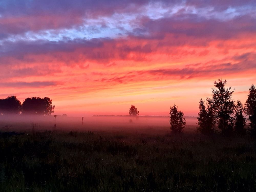 Синий туман похож на обман....