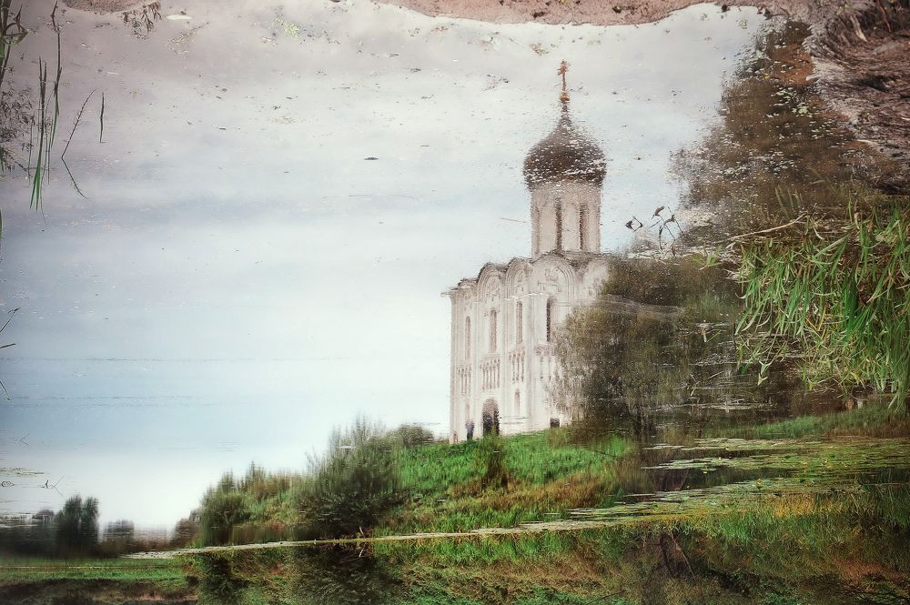 Фотография автора Анна Петина