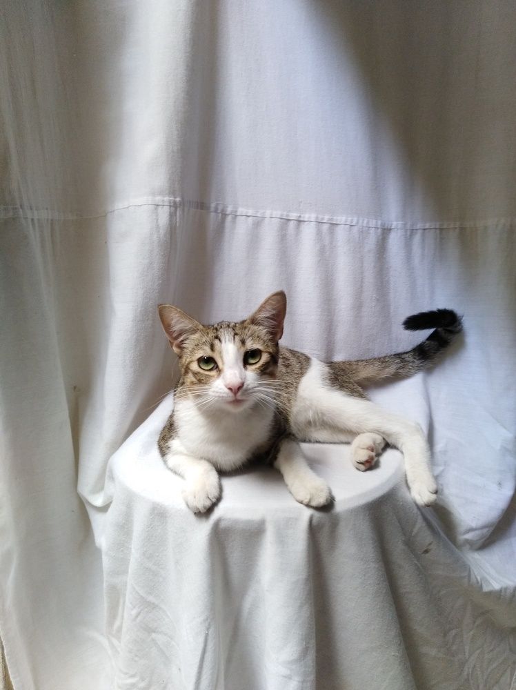 Photograph by Brian C. Guillen