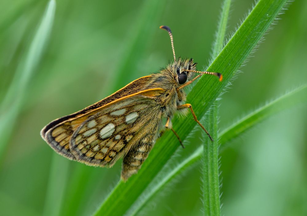 Photograph by Дмитрий Крючков