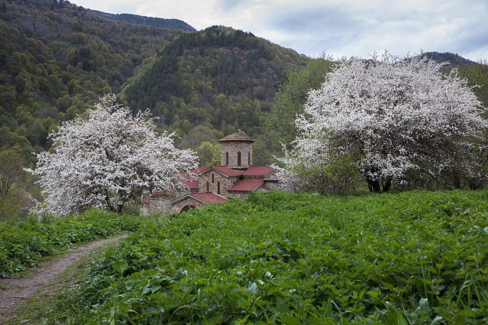 Фотография автора Мария Казакова