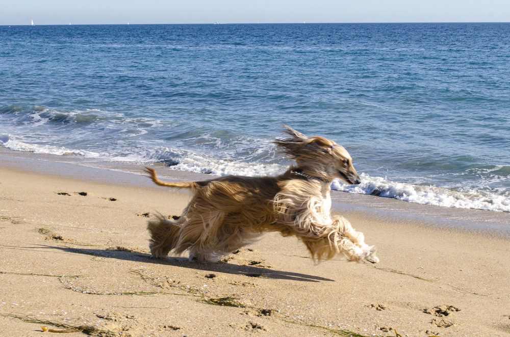 Photograph by Victoria Krasyuk