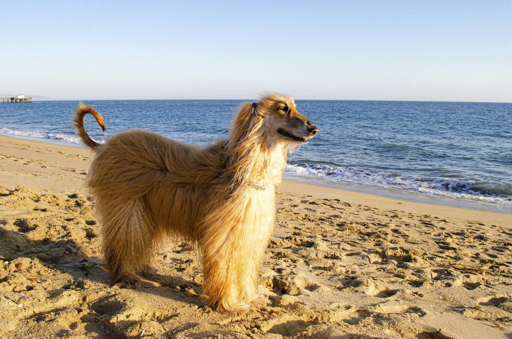 Photograph by Victoria Krasyuk