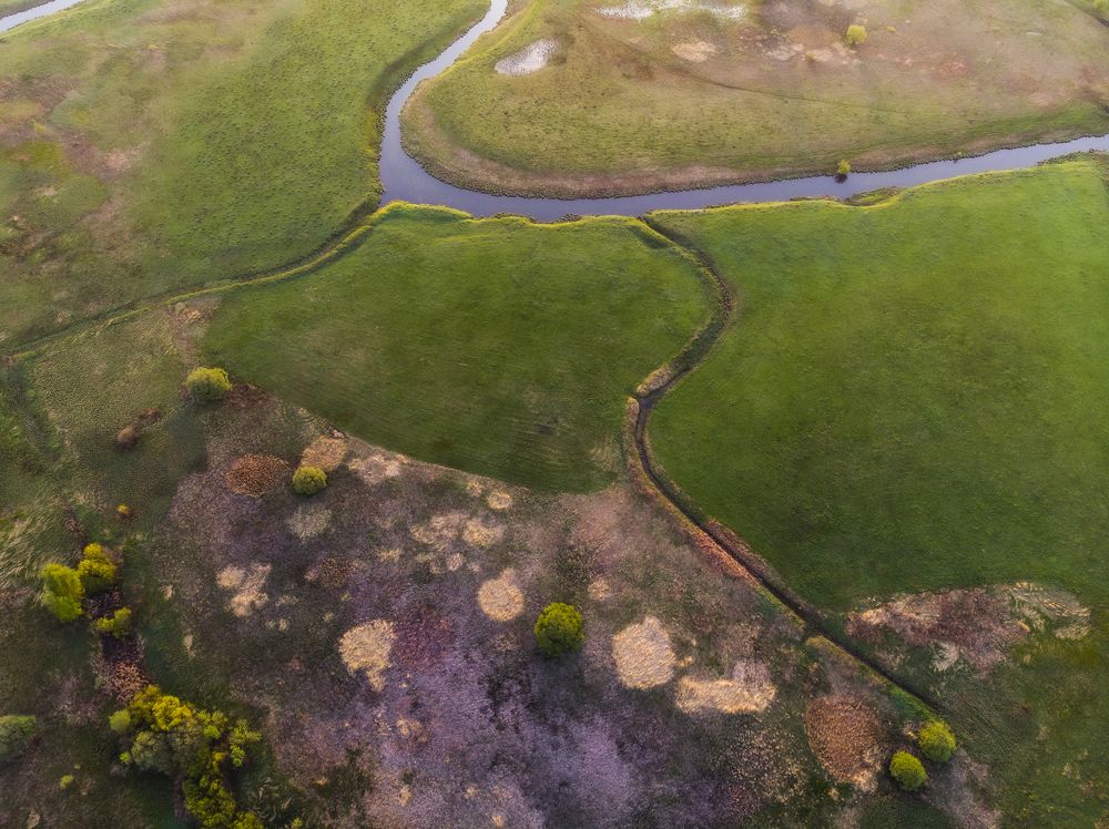 Реки как змеи.