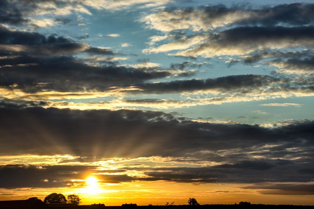 Photograph by Anna Suchcicka