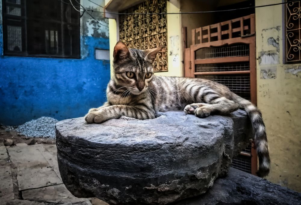 Photograph by DHIRAJ GOSWAMI