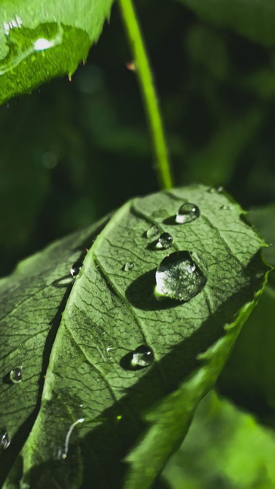 Photograph by Марина Подольная