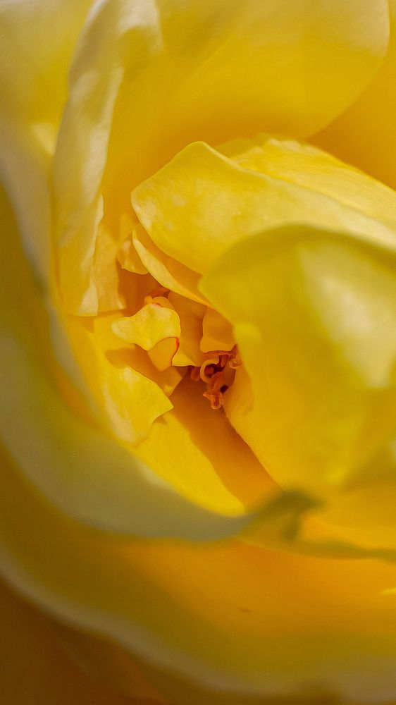 Photograph by Марина Подольная