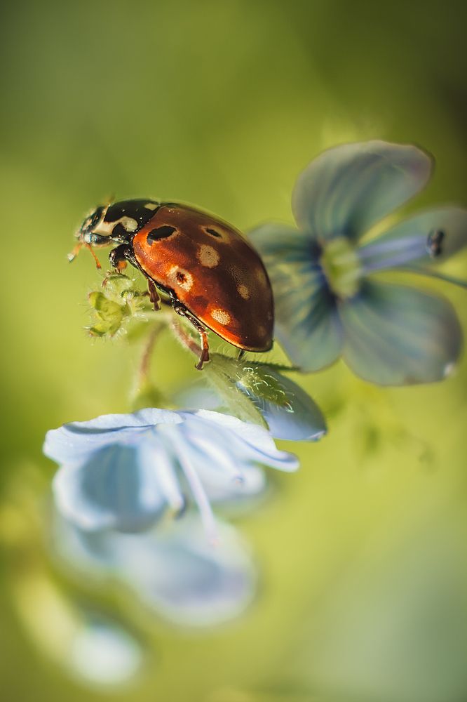 Photograph by Алена